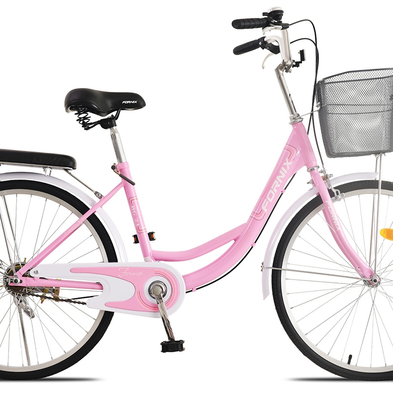 Xe đạp đường phố Fornix RG-24